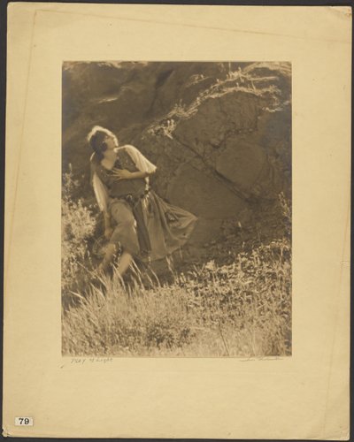  作： Louis Fleckenstein