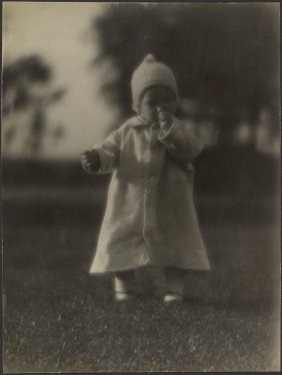  作： Louis Fleckenstein