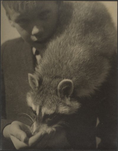  作： Louis Fleckenstein