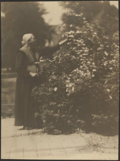  作： Louis Fleckenstein