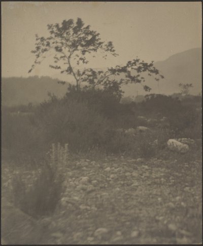 [ロッキーの風景］ 作： Louis Fleckenstein