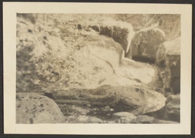 [ロッキーの風景］ 作： Louis Fleckenstein