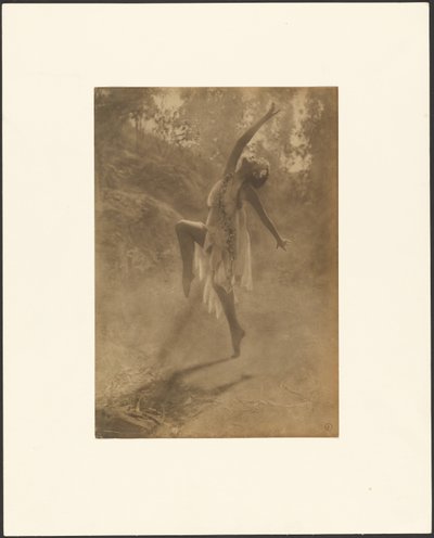 南部の薔薇の踊り 作： Louis Fleckenstein