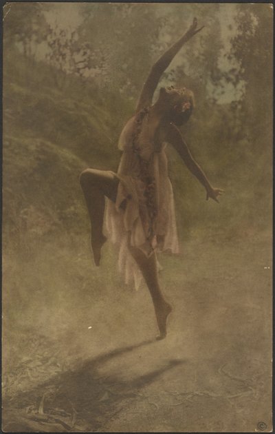 南部の薔薇の踊り 作： Louis Fleckenstein