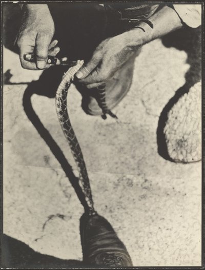  作： Louis Fleckenstein