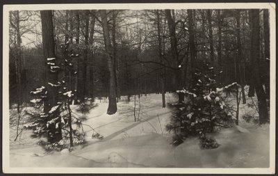 [雪景色］ 作： Louis Fleckenstein
