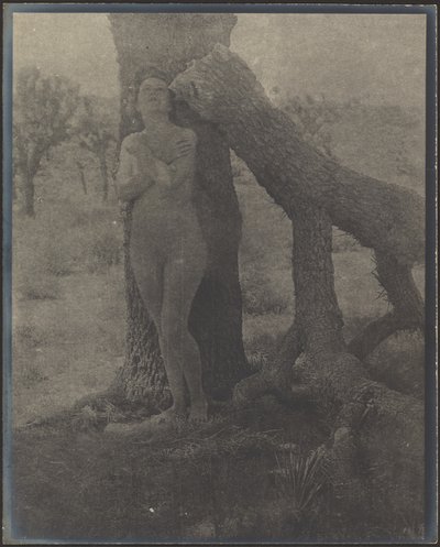  作： Louis Fleckenstein