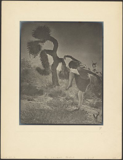  作： Louis Fleckenstein