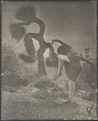  作： Louis Fleckenstein