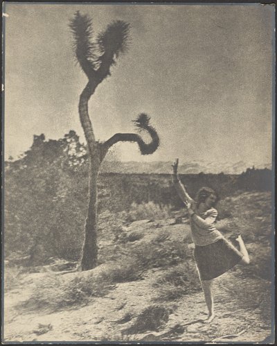  作： Louis Fleckenstein