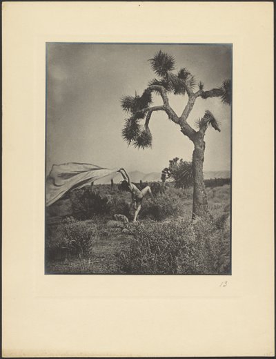 『砂漠の風』 作： Louis Fleckenstein
