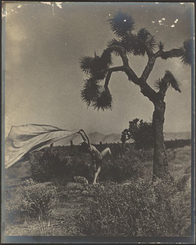  作： Louis Fleckenstein