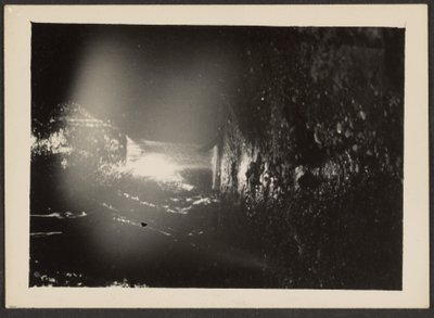 [ローグ川の滝］ 作： Louis Fleckenstein