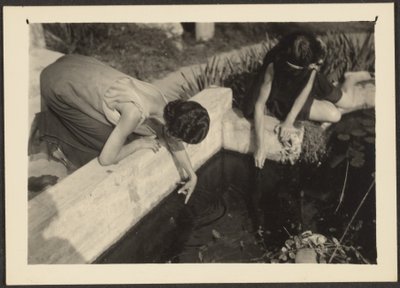  作： Louis Fleckenstein