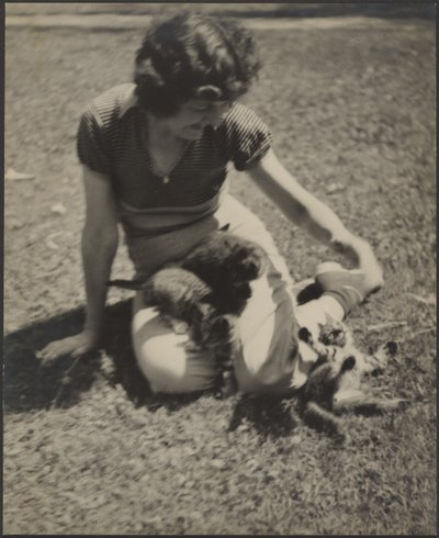  作： Louis Fleckenstein