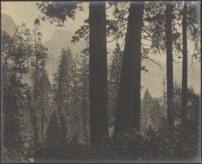  作： Louis Fleckenstein