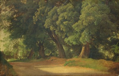 ホルスタインのオークの木（木の上の紙に油） 作： Louis Gurlitt