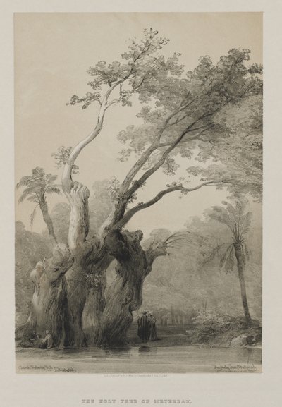 エジプトとヌビア、ボリュームIII：メテアの聖なる木、1849年。 作： Louis Haghe