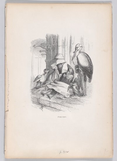 私は動物の私生活と公の生活からのシーンの未亡人でした。 1837-47。 作： Louis Henri Brévière