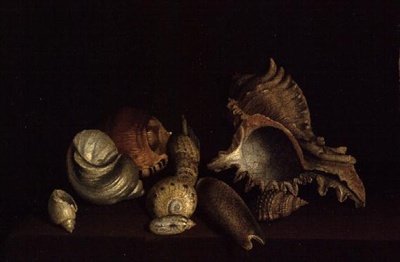棚上の貝殻の静物、17世紀 作： Louis Hubner