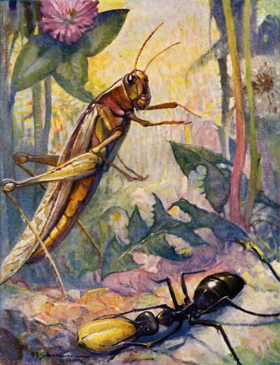 アリとキリギリス（カラーリトグラフ） 作： Louis John Rhead