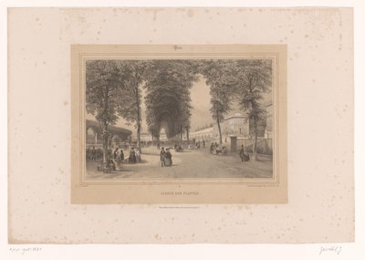 植物園の眺め Jardin des Plantes (オブジェクトのタイトル) パリとその周辺の顔 (シリーズ タイトル) Paris (オブジェクトのシリーズ タイトル) 作： Louis Julien Jacottet