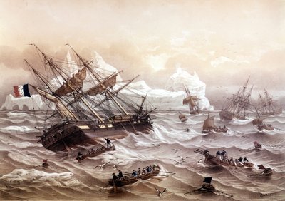 ニューファウンドランドでの捕鯨。ルブルトンによる絵画。19世紀初頭 作： Louis Le Breton