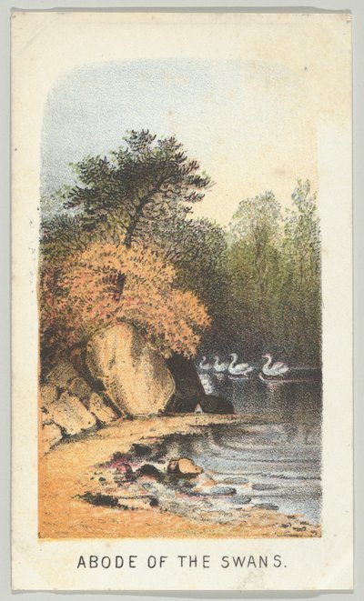 白鳥の住居、シリーズから、ニューヨークのセントラルパークの景色、パート2、1864年。 作： Louis Prang
