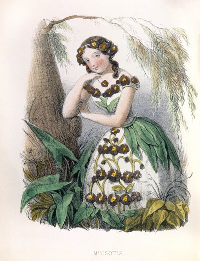 アレゴリー、ミオソティス 作： Louis Simon (1810-1870) Lassalle