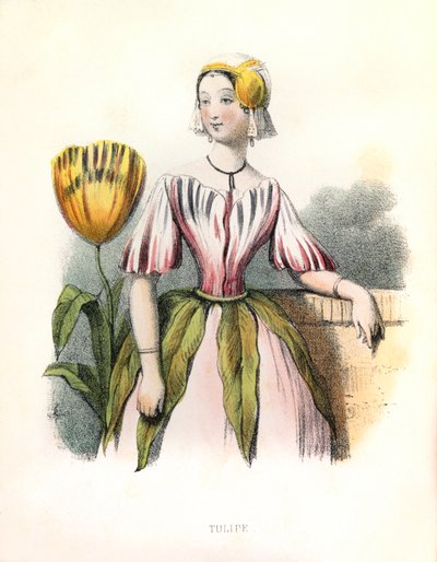 アレゴリー、ラ・チューリップ 作： Louis Simon (1810-1870) Lassalle