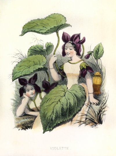 アレゴリー、ラ・ヴィオレット 作： Louis Simon (1810-1870) Lassalle