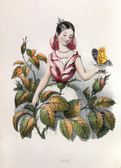 アレゴリー、ラ・ローズ 作： Louis Simon (1810-1870) Lassalle