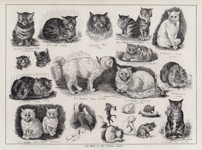 クリスタル・パレスでのキャットショー（エングレービング 作： Louis Wain