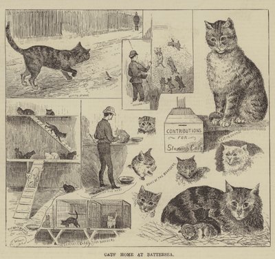 バターシーの猫の家 作： Louis Wain