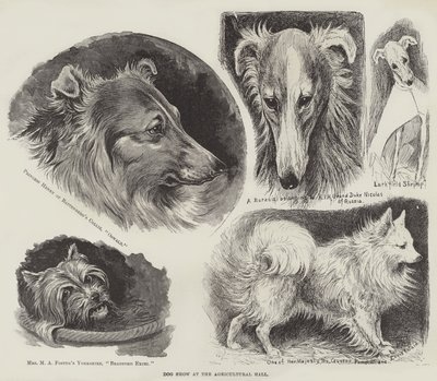 農業ホールでのドッグショー 作： Louis Wain