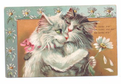 抱き合った2匹の猫のエドワード朝様式のはがき、c.1910 作： Louis Wain