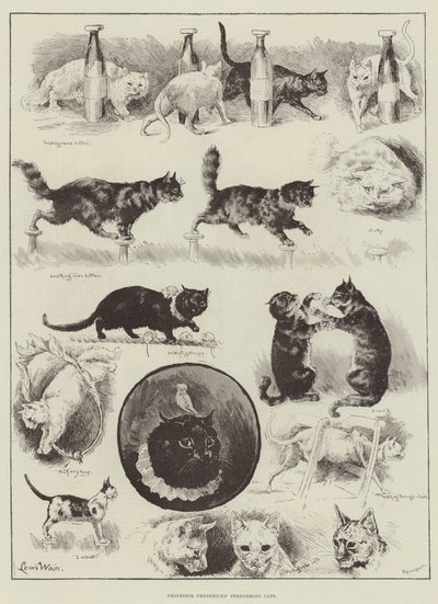 フレデリックス教授のパフォーマンス猫 作： Louis Wain