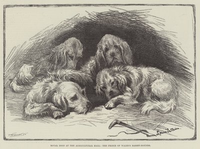 プリンスオブウェールズのバセットハウンド農業ホールのロイヤルドッグ 作： Louis Wain