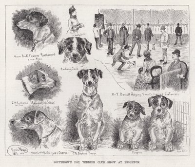 サウスダウン・フォックステリア・クラブ・ショー・アット・ブライトン(彫刻) 作： Louis Wain