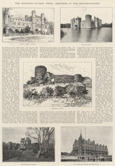 ヘイスティングスクリケットウィーク、近所のスケッチ 作： Louis Wain
