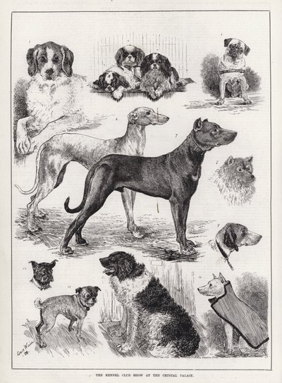 The Kennel Club Show at the Crystal Palace (e.g. The Kennel Club Show at the Crystal Palace) 作： Louis Wain