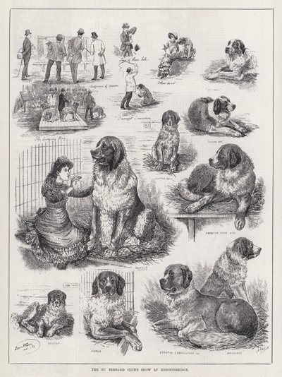 ナイツブリッジでのセントバーナードクラブのショー（彫刻 作： Louis Wain