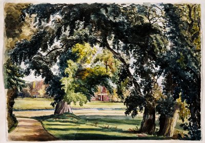 Paisagem 作： Louisa Ann Neville