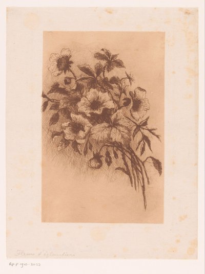 フラワーズ 作： Louise Elsen (attributed to)