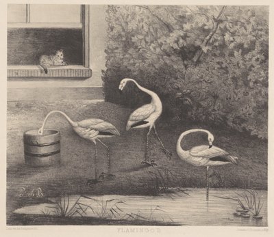 3 羽のフラミンゴと 1 匹の猫 作： Louise Marie Françoise van der Beek