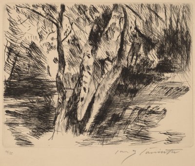 ティーアガルテンの白樺 作： Lovis Corinth