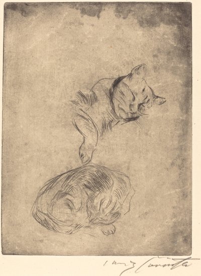 Katzenstudie 猫の研究、1920 年。 作： Lovis Corinth