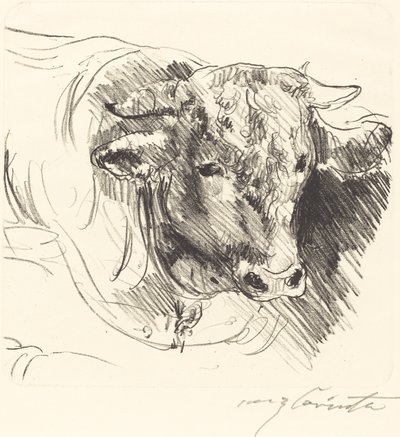 スティアコプフ Head of a Steer, 1912年。 作： Lovis Corinth