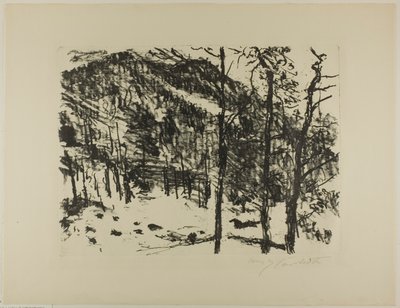 山の中の早春からの谷 作： Lovis Corinth