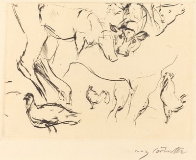 雑学 動物研究 動物研究、1917年 作： Lovis Corinth